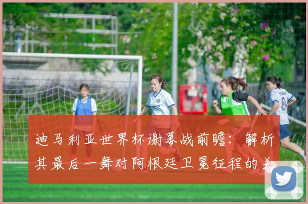 迪马利亚世界杯谢幕战前瞻：解析其最后一舞对阿根廷卫冕征程的关键影响